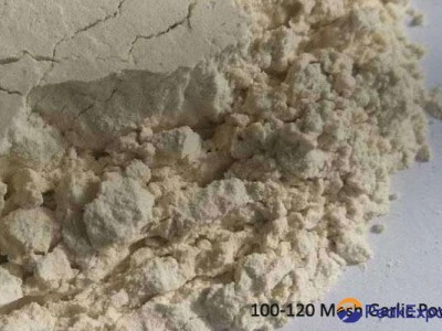 Garlic Powder Wholesale Price