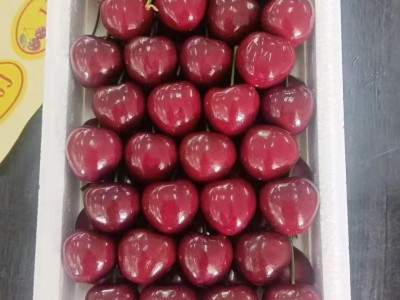 Fresh Cherry
