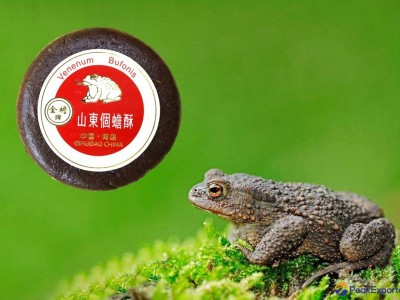 Toad Venom(Venenum Bufonis)