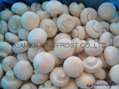 IQF MUSHROOMS ,FROZEN MUSHROOMS