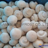 IQF MUSHROOMS ,FROZEN MUSHROOMS