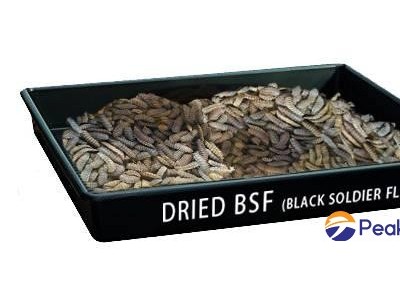 Dried Bsfl(Black Solder Fly)