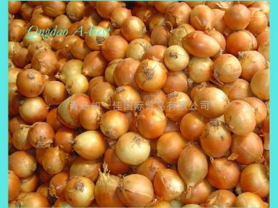 FRESH YELLOW ONION