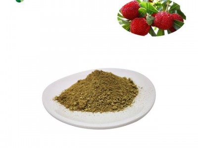 bayberry bark extract myricetin 98%