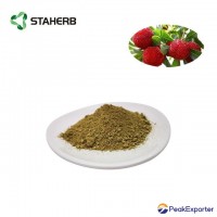 bayberry bark extract myricetin 98%