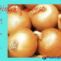 2022 CROPS FRESH YELLOW ONION