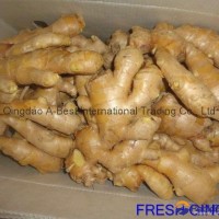 Semi-Air dried fresh ginger
