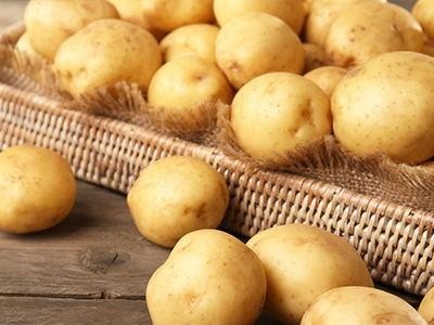 Potato set 6s strict selection fresh potatoes