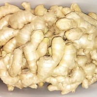 2024 Air dried ginger
