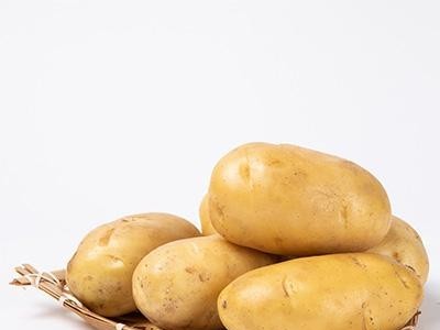 Potato set 6S strictly selected potato wholesale