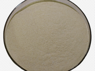 Clostridium butyricum