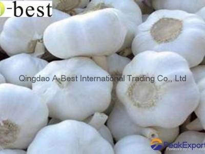 2015 new  PURE WHITE Fresh Garlic