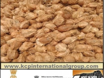 Fresh semi husked coconuts