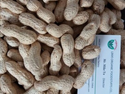 supply peanut in shell