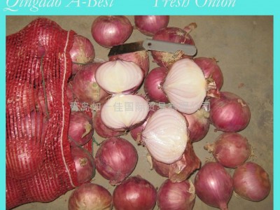 FRESH ONION