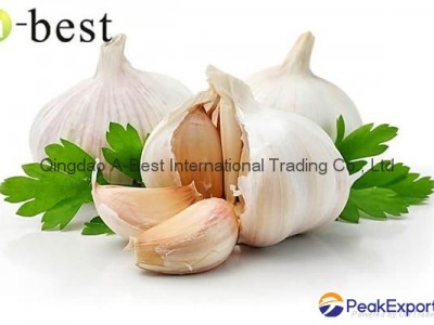 New corps Fresh Garlic