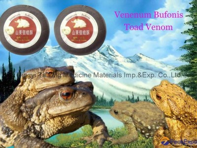 toad venom