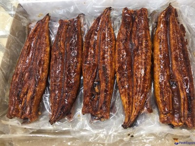 Bulk packed,Frozen Seasoned Roasted Eel,Frozen Broiled Eel,Unagi Kabayaki