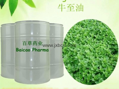 Oregano oil with Carvacrol for Feed additives