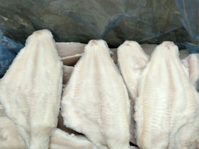 Frozen channel catfish fillets