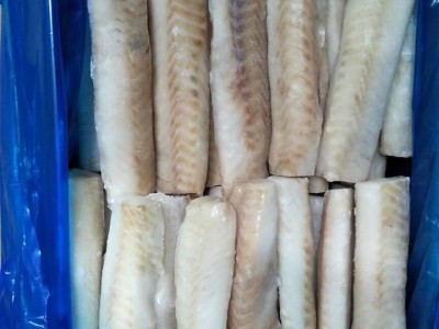 Alaska Pollock Fish