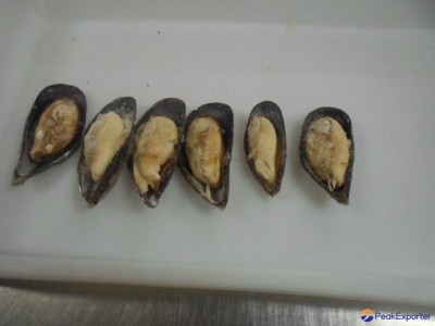Cholga