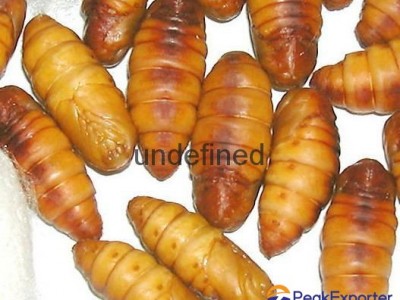 Frozen silkworm chrysalis