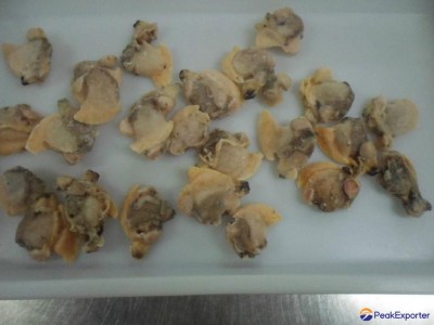 White clam meat