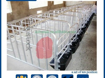 pig raising equipment adjustable gestation crate for sows