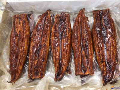 Unagi Kabayaki, Seasoned Broiled Eel,sushi slices/flakes/cuts/skewers/dices