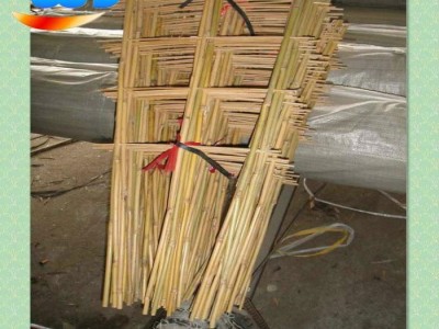 Bamboo ladder