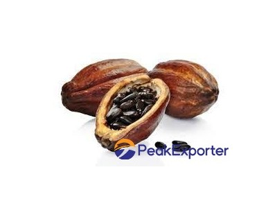 Cacao beans