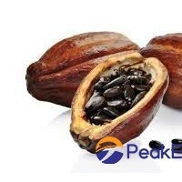 Cacao beans