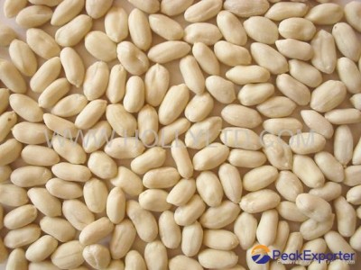 blanched peanut kernels- long