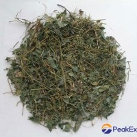 Fiveleaf Gynostemma Herb