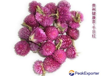 Flower of globeamaranth