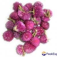 Flower of globeamaranth