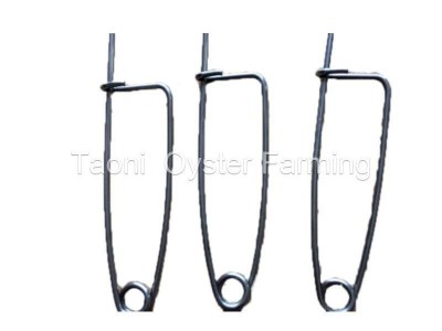 Stainless Steel Pins