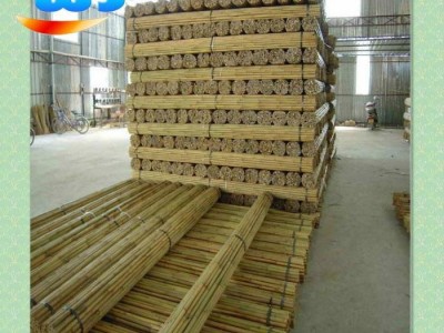 Bamboo cane
