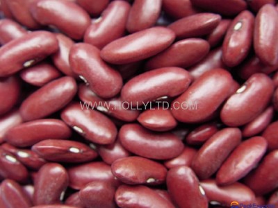 Red kidney bean