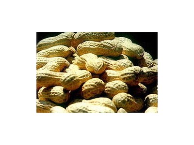 raw peanut inshell