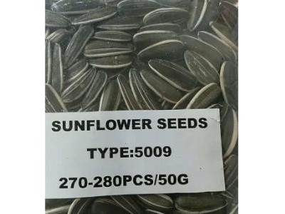 sunflower seed of type 5009