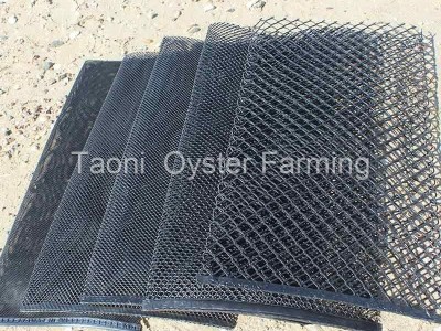 Oyster Mesh