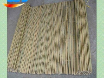 Bamboo fence
