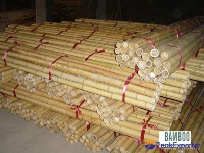 Bamboo poles and bamboo cane