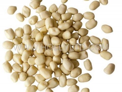 blanched peanut kernels- round