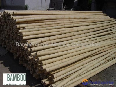 bamboo poles and canes