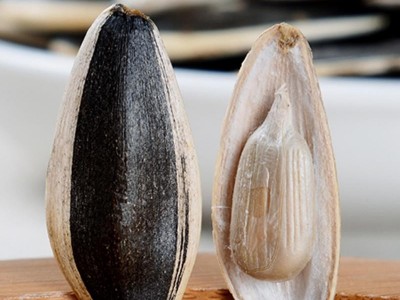 sunflower seed of type 363