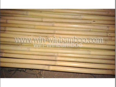 bamboo canes for farming supports garden trees supports decorations