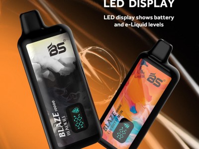 China Led Display E Vape wholesale BS Blaze 10000 Puffs Mesh Coil